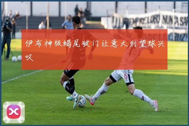 伊布神级蝎尾破门让意大利望球兴叹