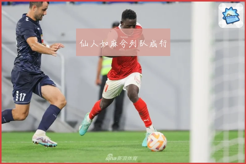 仙人如麻兮列队成行