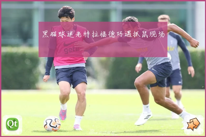 黑猫球迷老特拉福德巧遇抓鼠现场